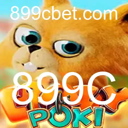 Descubra CrazyPoki: O Jogo Que Está Conquistando o Mundo